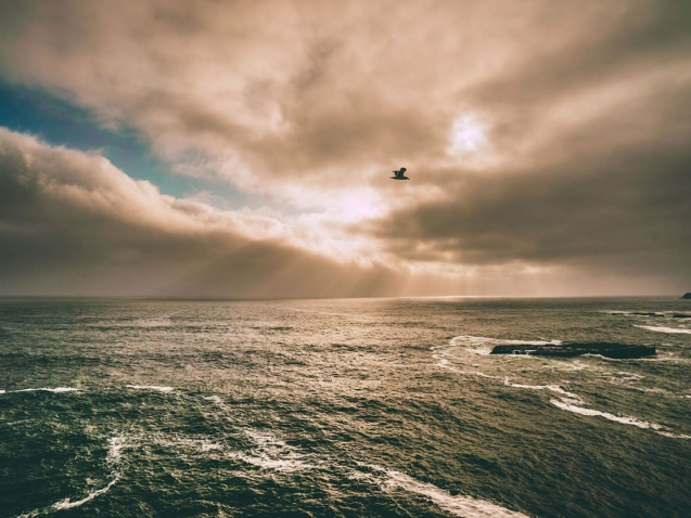 photo-1434472007488-8d47f604f644